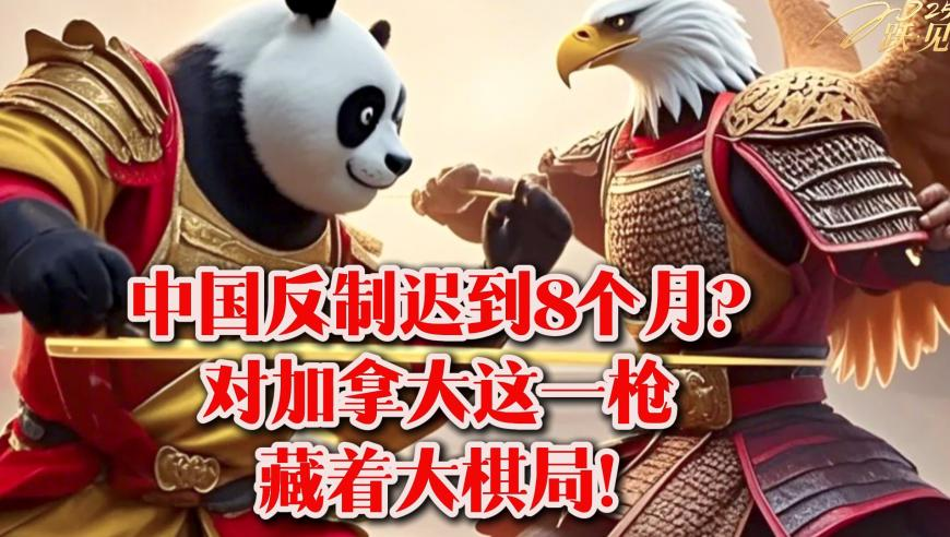 管家婆一肖一马100准,辛芷蕾穿了95年的古董高定,展开解析落实_钻石版V15.32