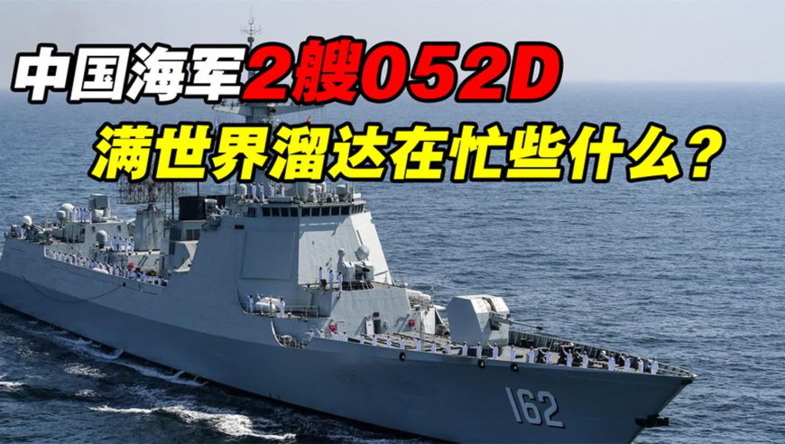 捡到了隐藏款的高智商小猫,660678王中王免费提供护栏24码660678,收益成语分析落实_创新版V9.16