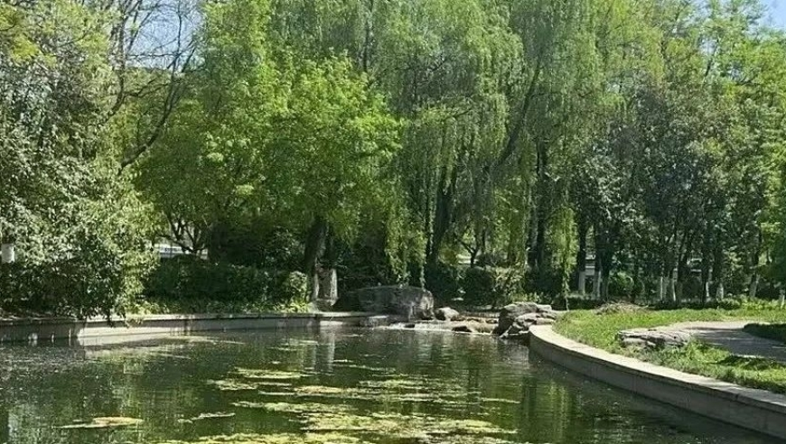 DeepSeek会否加剧医疗行业竞争,香港内部公开资料最准确CC,前瞻性战略落实探讨_优选版V8.60