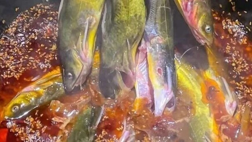 今期开头必有九,对美加征关税是否会影响国内养殖业,经典解释落实_终极版V4.85